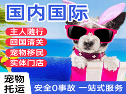 腾鳌航空空运国际宠物托运 【国